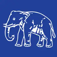 BSP Logo
